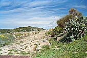 Selinunte the Acropolis, the main road. 